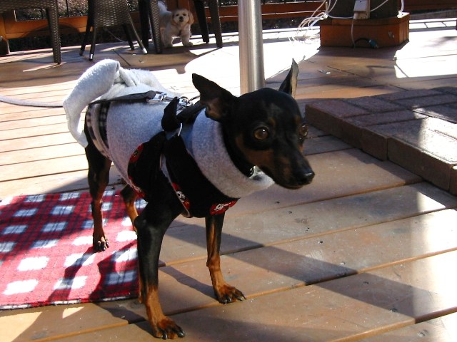 e0150843_3191155.jpg