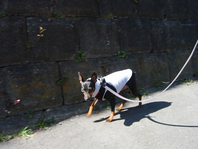 e0150843_325053.jpg