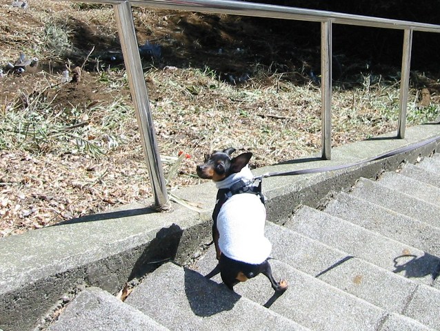 e0150843_32781.jpg