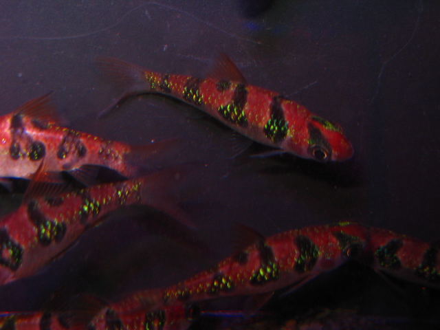 f0198950_2291285.jpg