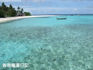 f0190653_18365954.jpg