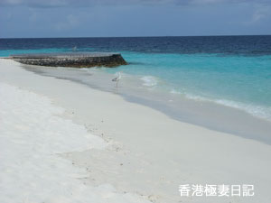 f0190653_18373018.jpg
