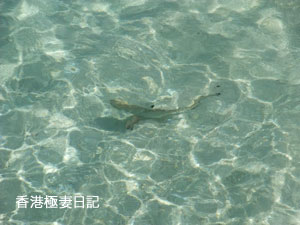 f0190653_18452827.jpg