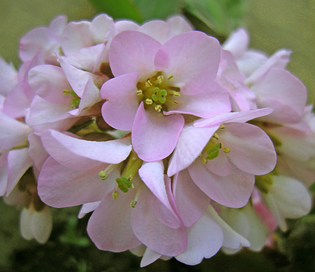 a0001354_22264275.jpg
