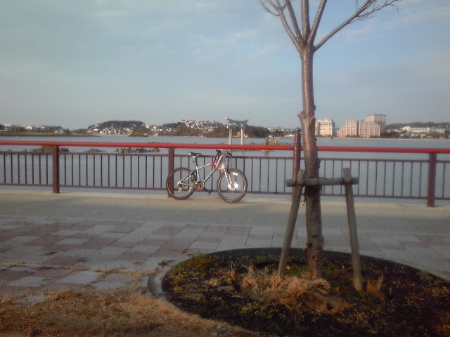 e0195460_0113655.jpg