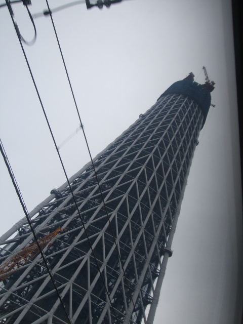 f0203260_1482951.jpg