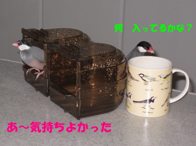 b0158061_19564568.jpg