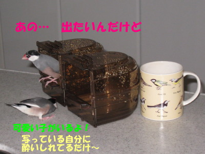 b0158061_1957114.jpg