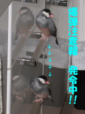 b0158061_19585154.jpg