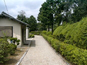 c0148762_893078.jpg