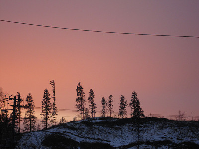 c0073564_8443471.jpg