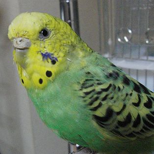 f0196665_23403622.jpg