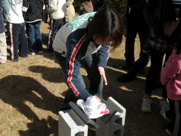 f0195767_10429.jpg