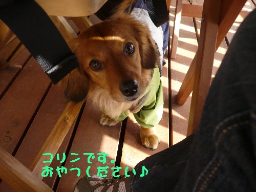 f0203369_22573545.jpg