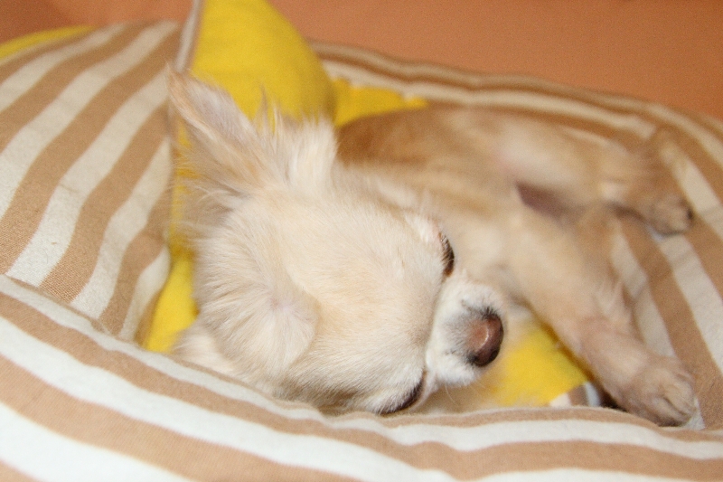 a0016775_0174763.jpg