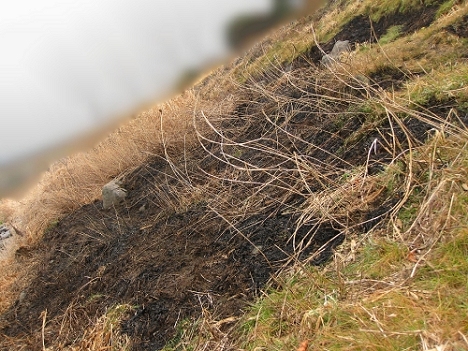 f0175875_2254271.jpg