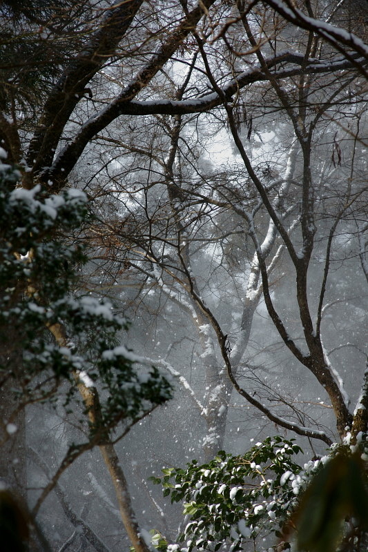 c0106977_21372243.jpg