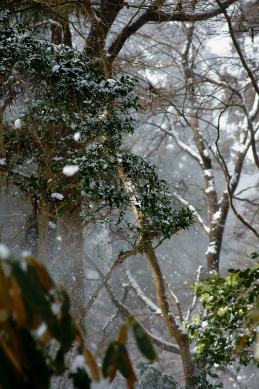 c0106977_21381247.jpg