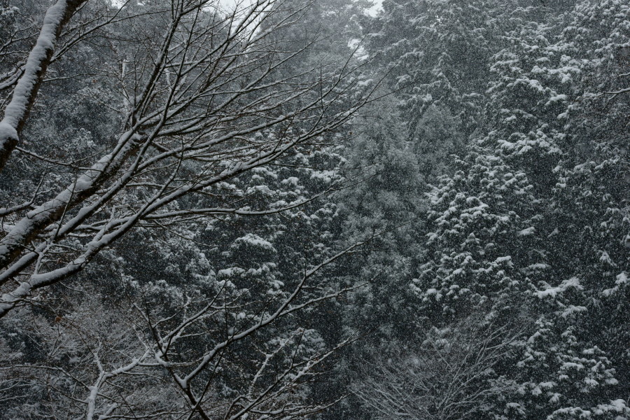 c0106977_21455073.jpg