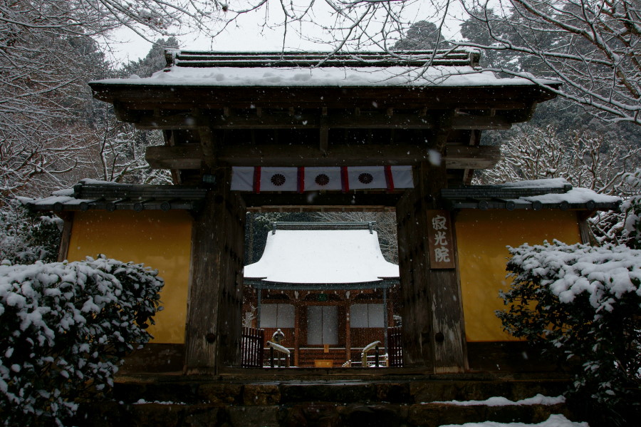 c0106977_2147382.jpg