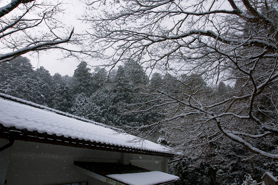 c0106977_21493677.jpg
