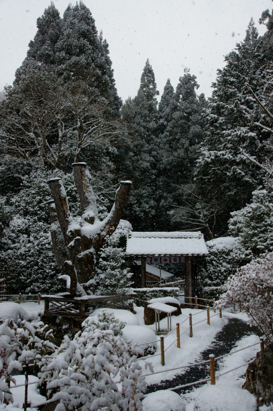 c0106977_21552314.jpg
