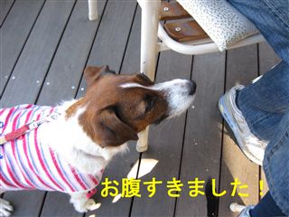 e0121589_237210.jpg