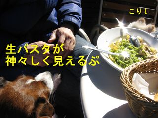 e0121589_2375767.jpg