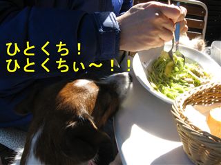 e0121589_2384625.jpg