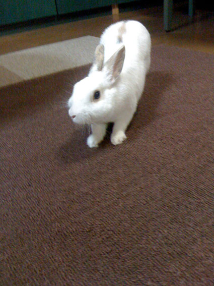 f0201191_23492426.jpg