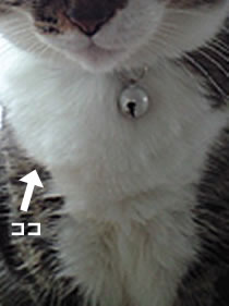 c0035001_16322138.jpg