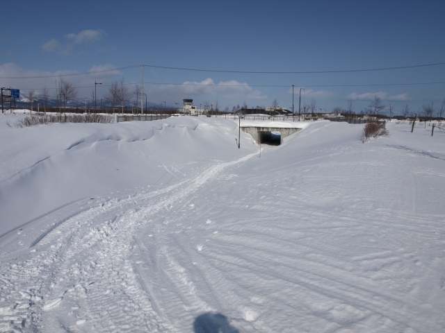 f0020302_193110.jpg