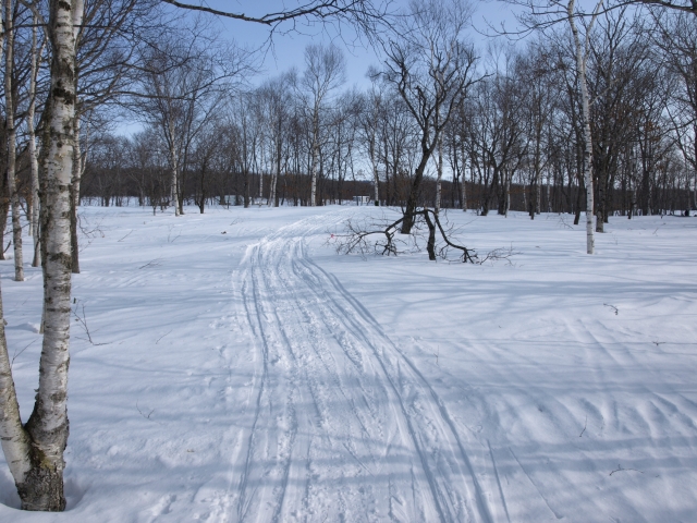 f0020302_1945764.jpg