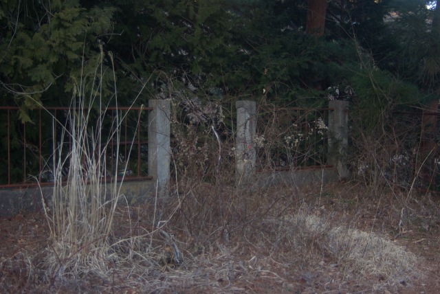 e0183804_211522.jpg