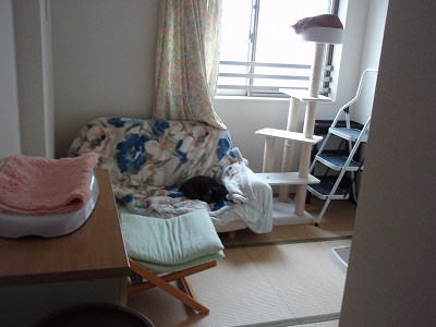 c0145016_0522152.jpg