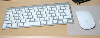 a0007523_23113116.jpg