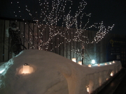b0147224_22381528.jpg