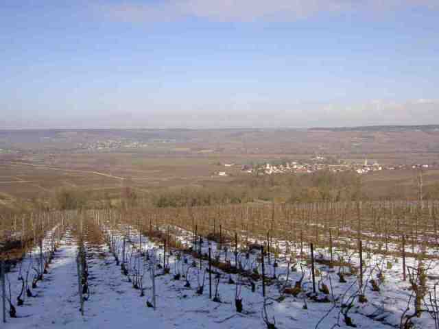 a0157027_1573473.jpg