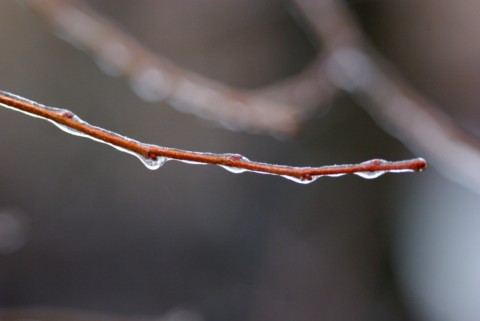 f0158627_11461229.jpg