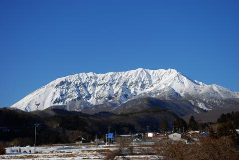 a0165329_2054079.jpg