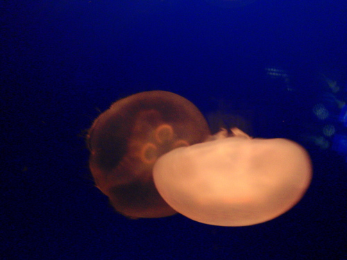 c0034029_19442512.jpg