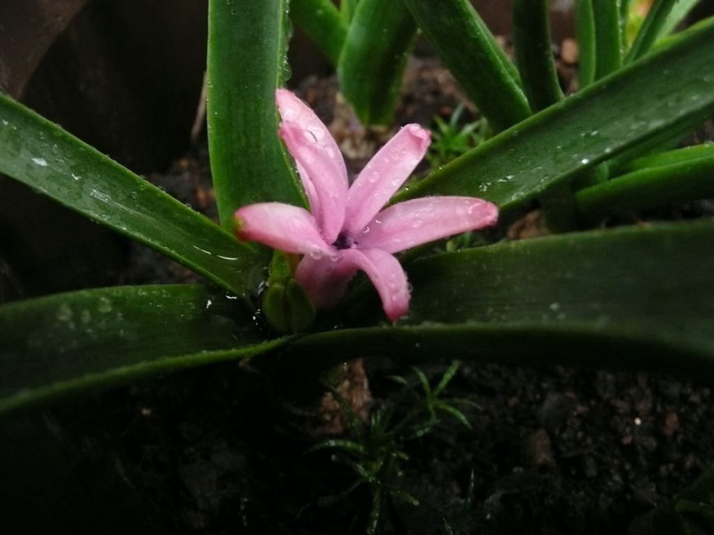 e0033229_1833363.jpg