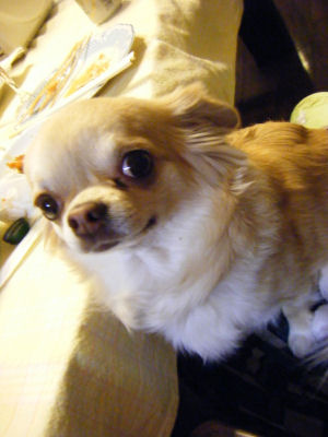 c0069036_04209.jpg