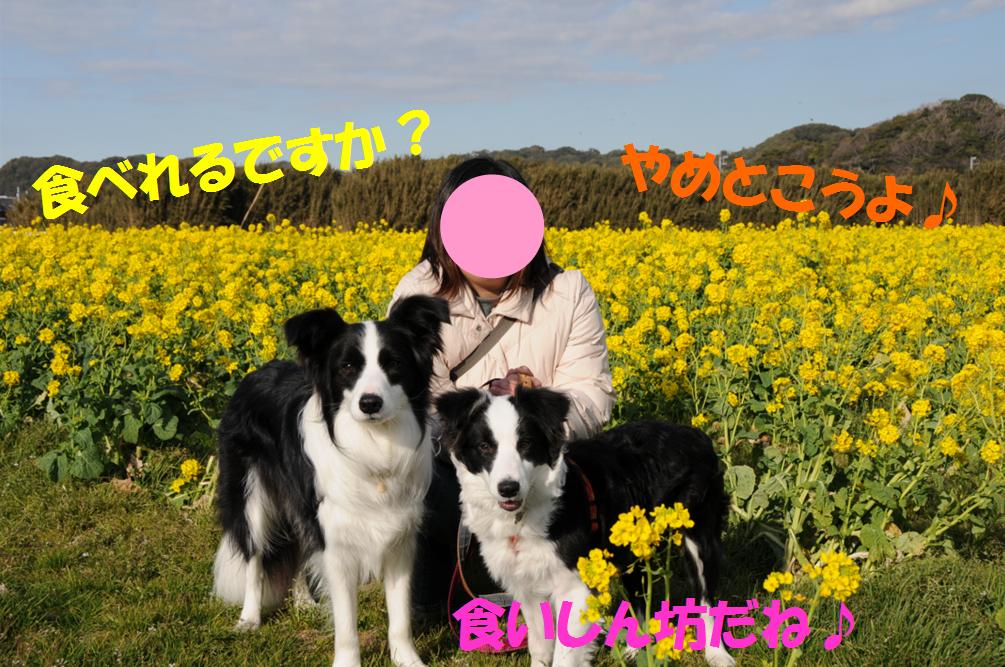 c0147241_8412223.jpg
