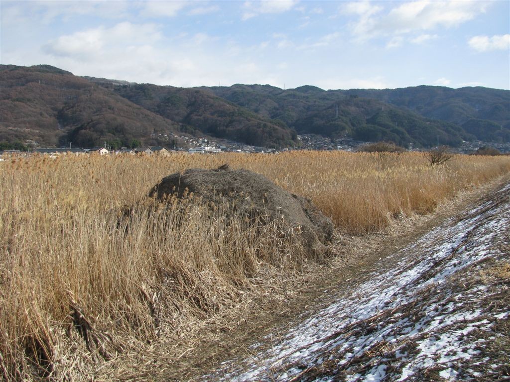 f0151044_852254.jpg