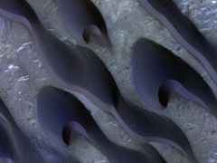 e0005548_15565142.jpg