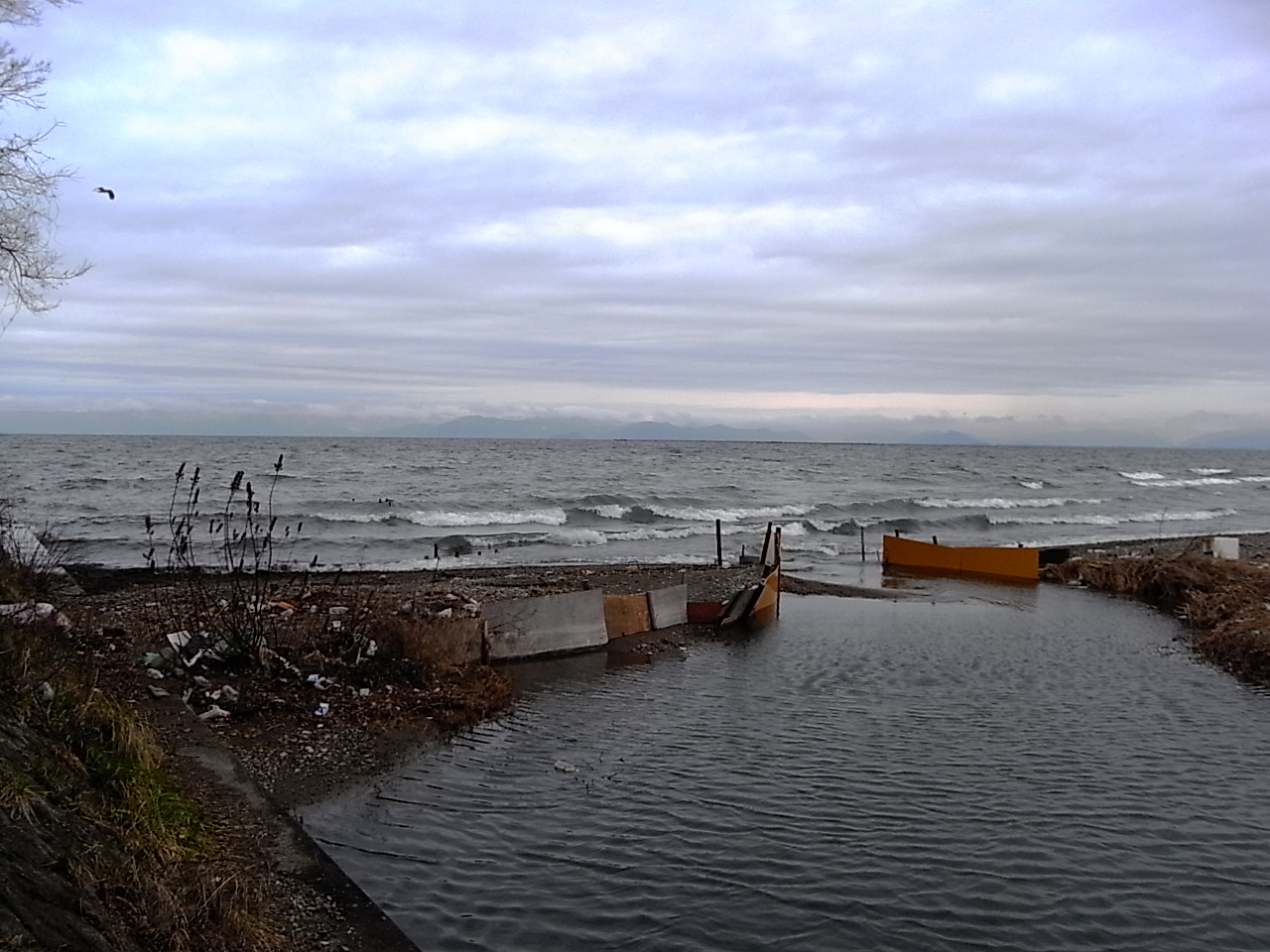 f0178153_10195550.jpg