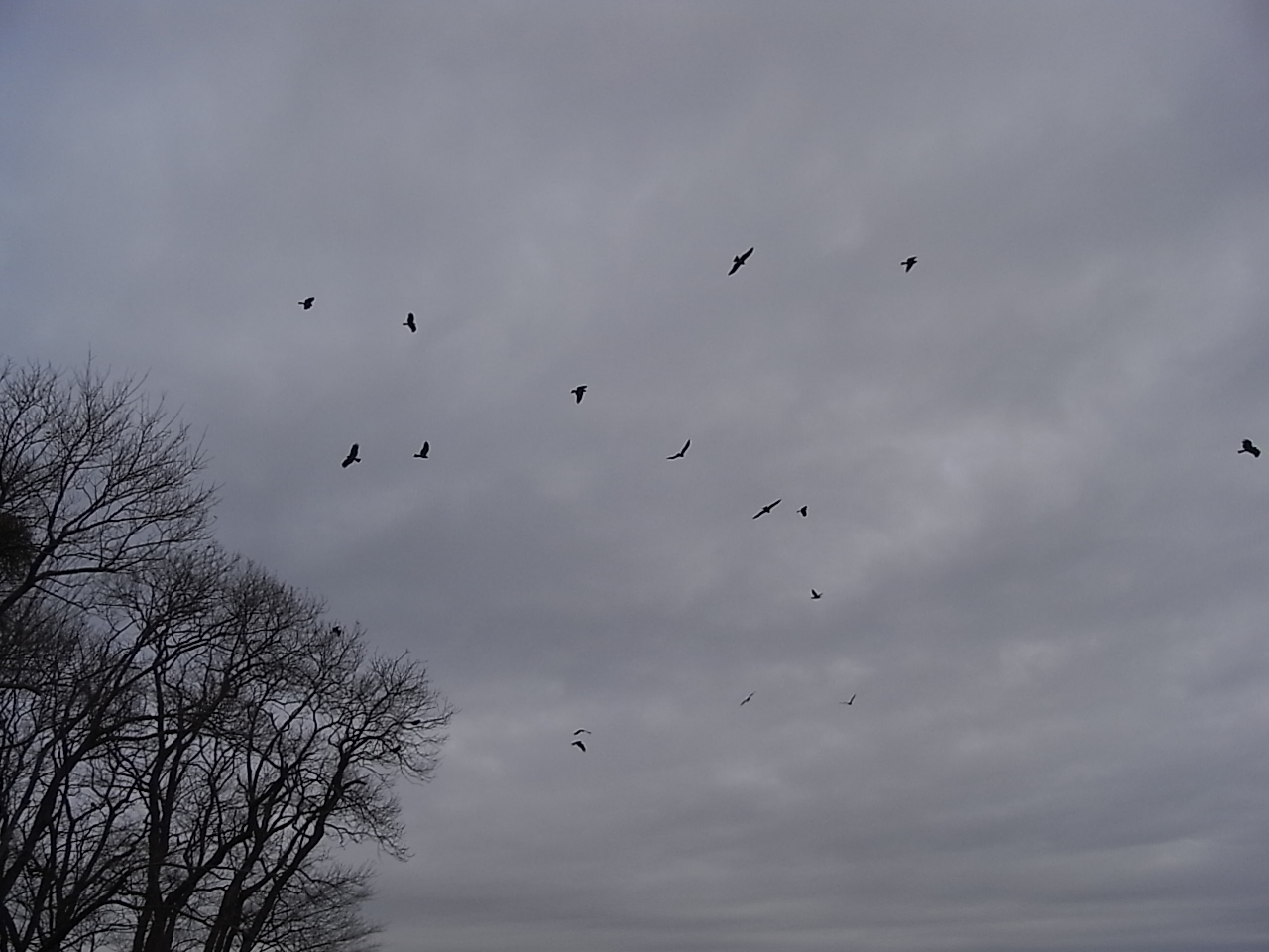 f0178153_1020511.jpg
