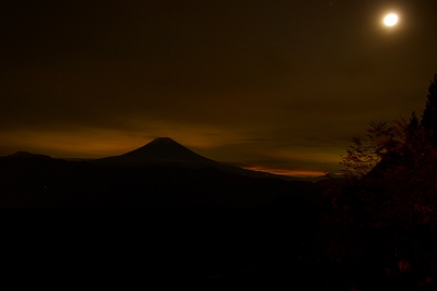 b0083855_5335194.jpg