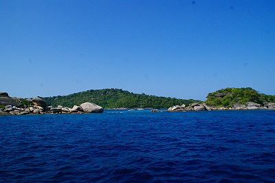 a0117858_1731335.jpg